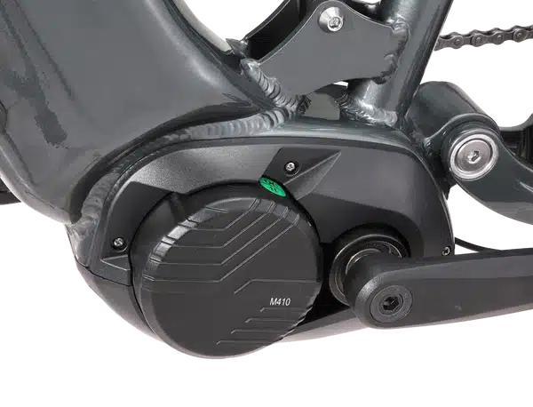 Ape Ryder Buffalo-M - Afbeelding 9