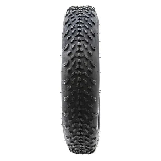 Band 20x4 Ewheel SPECIAL FAT-BIKE - Afbeelding 2