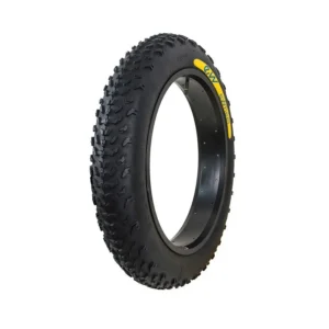 Band 20x4 Ewheel SPECIAL FAT-BIKE