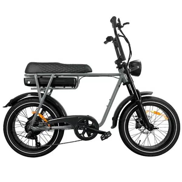 EB2 Pro - Fatbike - Grijs