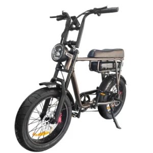 Tourwheel T6 Elektrische Fatbike | 500W, 80km |