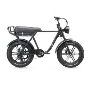 Ape Ryder A10 Pro - Fatbike - Zwart - 20x4.5 inch - Accu 36V (10Ah) - 250W Achterwielmotor - Shimano 7 Versnellingen - Hydraulische Remmen