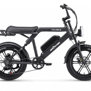 Ape Ryder Colobus Premium E-bike - Hoogwaardige Elektrische Fiets