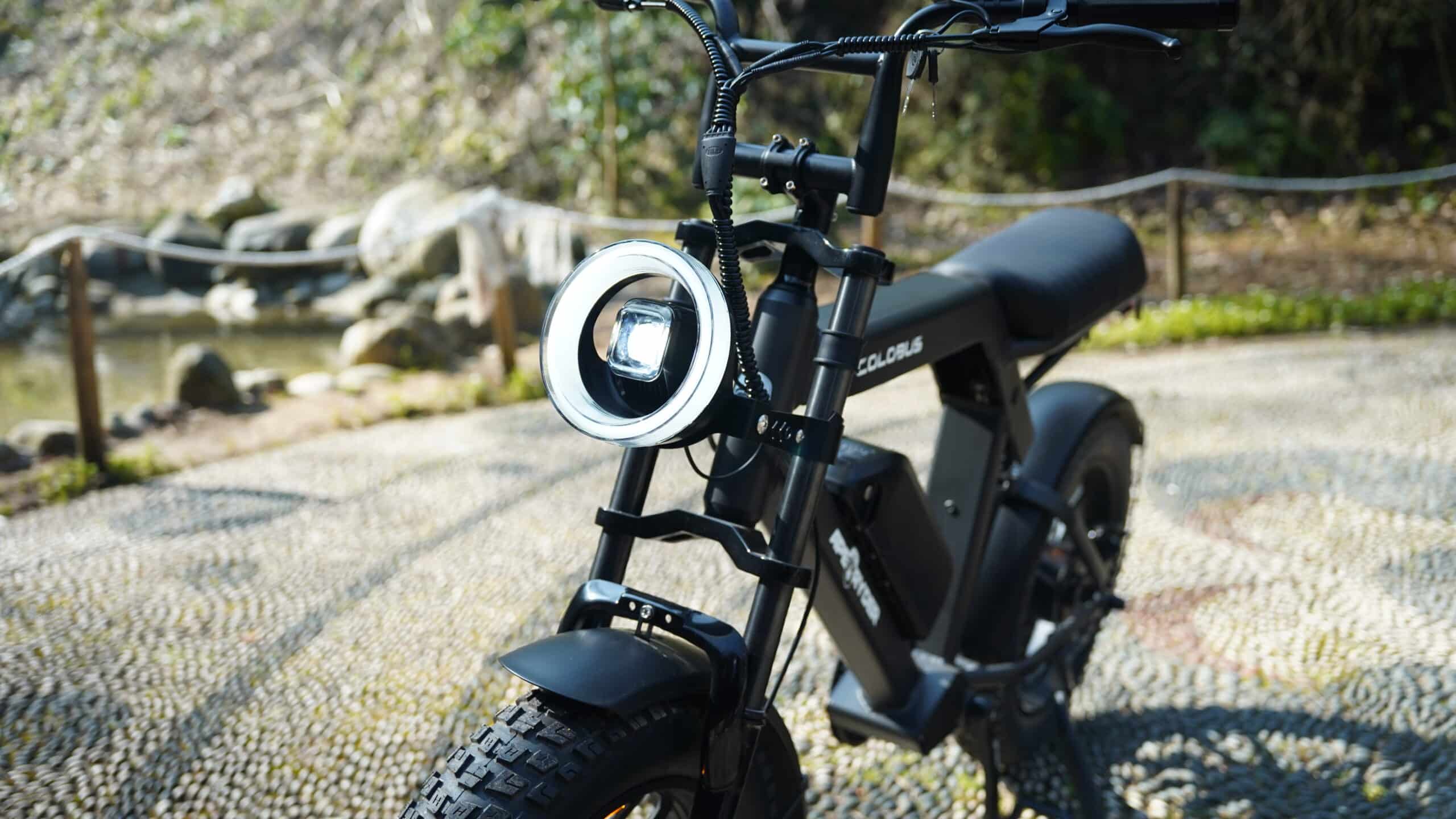 Ape Ryder Colobus Premium E-bike - Hoogwaardige Elektrische Fiets - Afbeelding 9